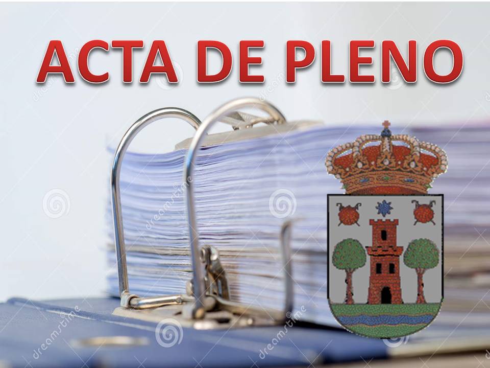 ACTA PLENO ESTRAORDIRANIO Nº 4/2020 23/10/2020